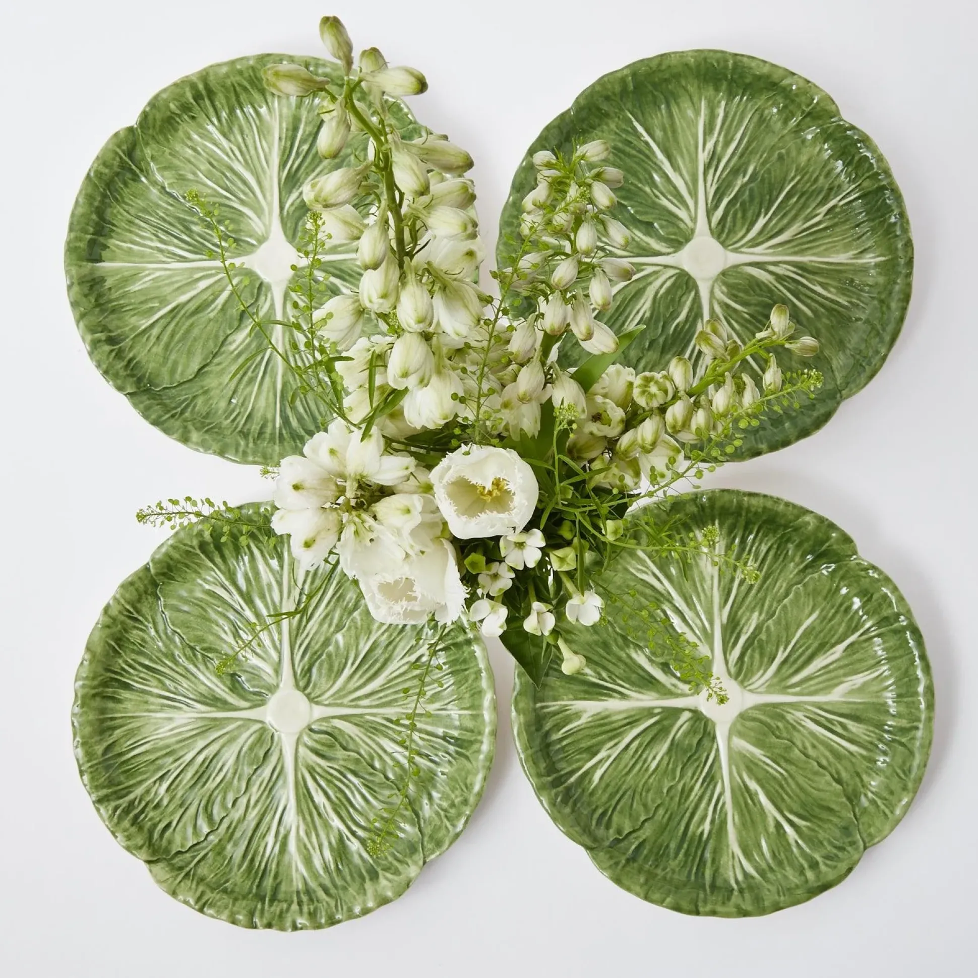 Alpine Lettuce Starter Plate (Set Of 4)