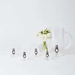 Penguin Water Glasses And Jug Set
