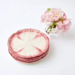 Pink Capri Lettuce Starter Plate