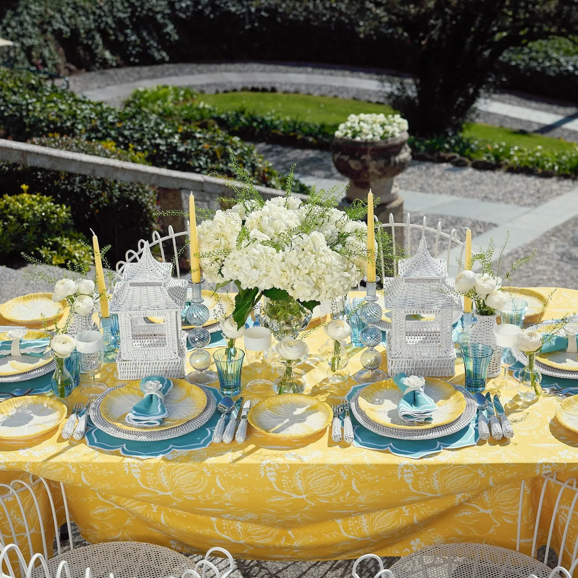 Yellow Capri Lettuce Starter Plate